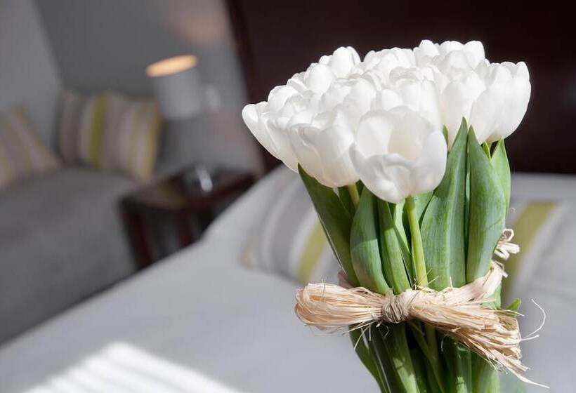 酒店 Relais Acropolis