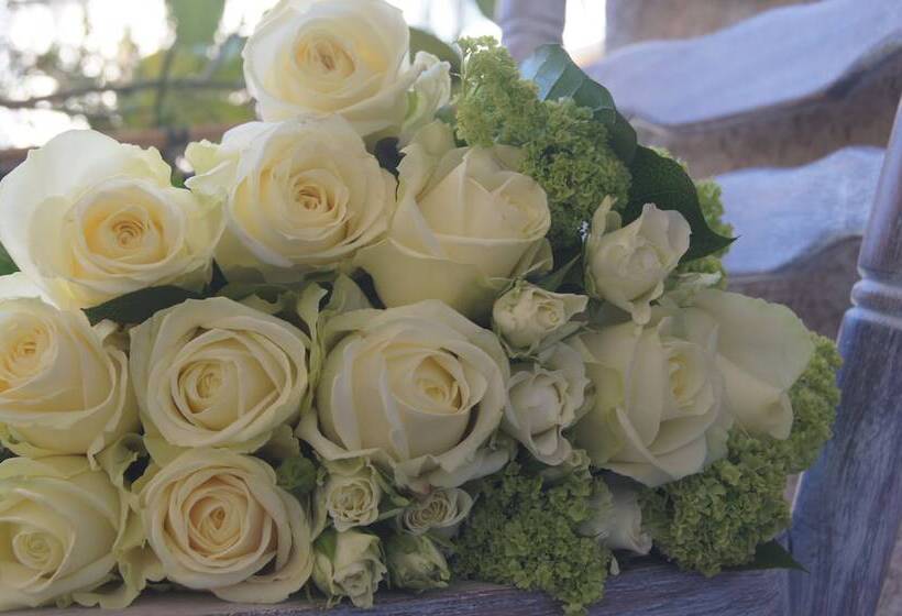 هتل Ruc Hôtel Cannes