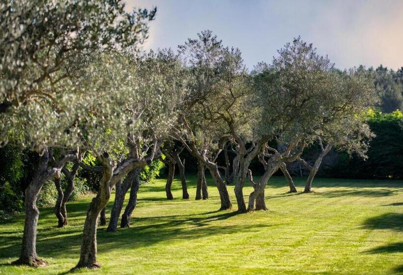 교외 호텔 Mas De L Oulivie