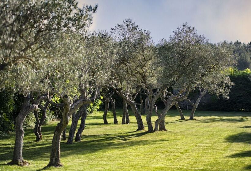 교외 호텔 Mas De L Oulivie