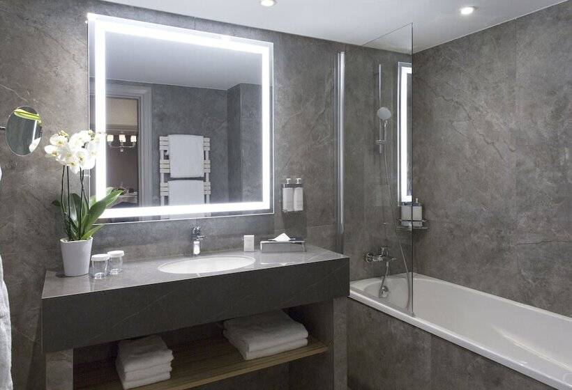 酒店 Warwick Reine Astrid  Lyon