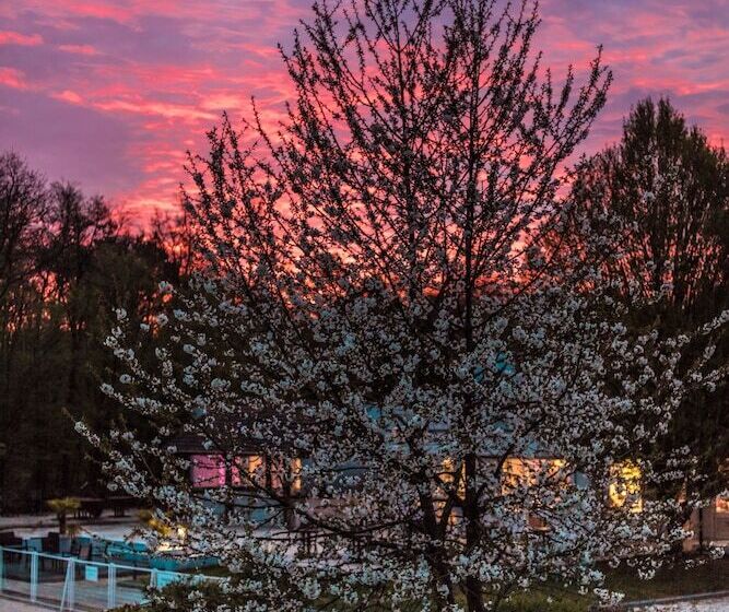 Novotel Fontainebleau Ury