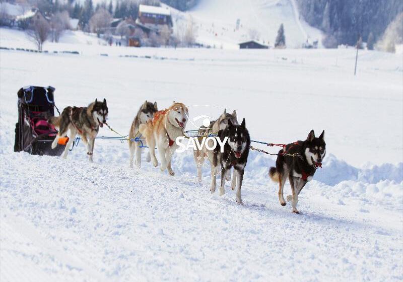 اقامتگاه Les Balcons Du Savoy