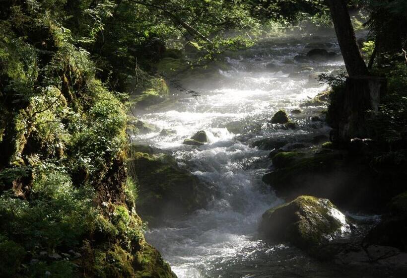 فندق Almhof Rupp