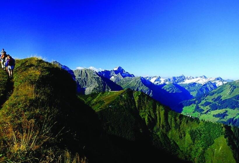 فندق Almhof Rupp