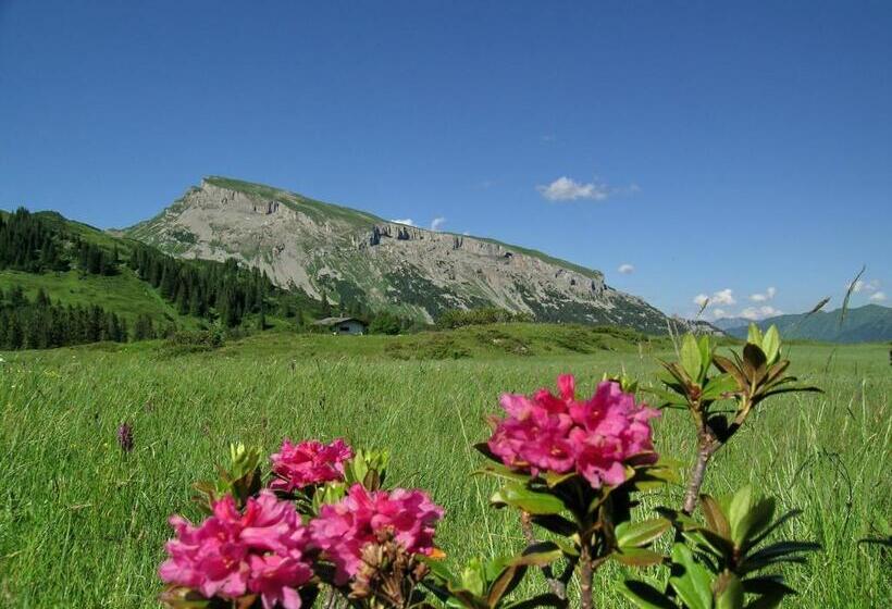 فندق Almhof Rupp