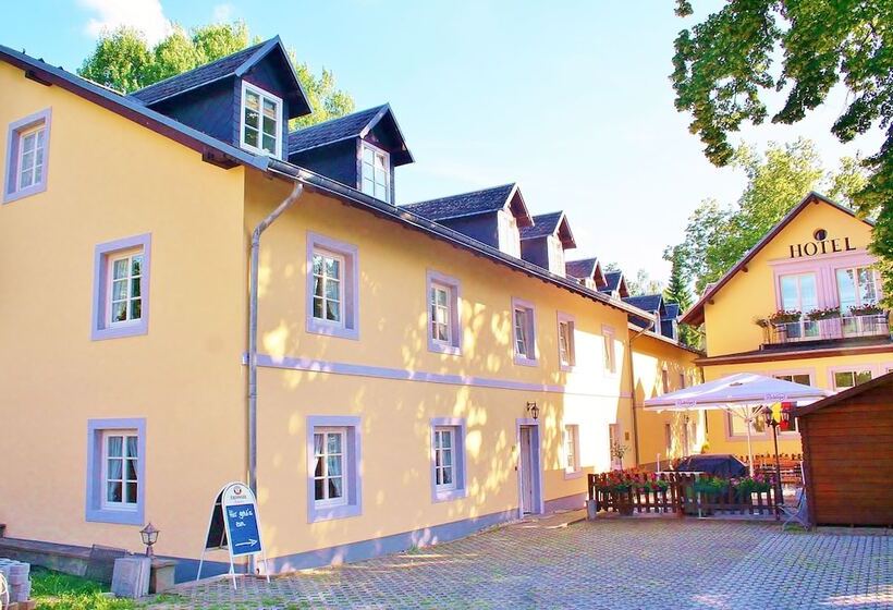 Отель Alttolkewitzer Hof