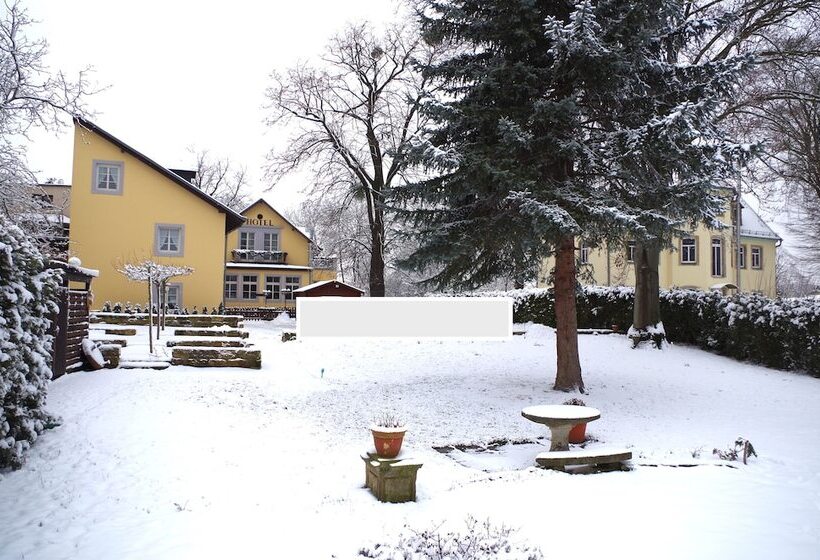 Отель Alttolkewitzer Hof