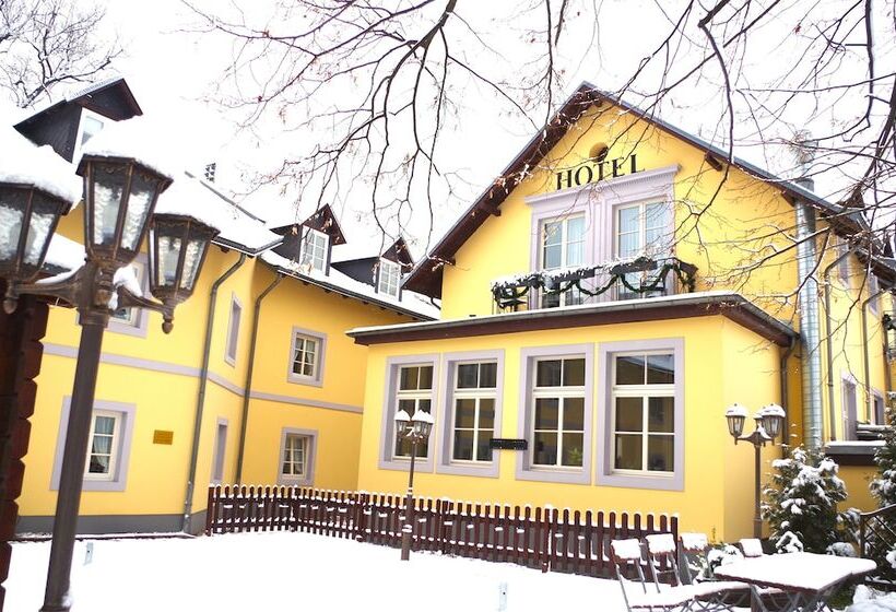 Отель Alttolkewitzer Hof