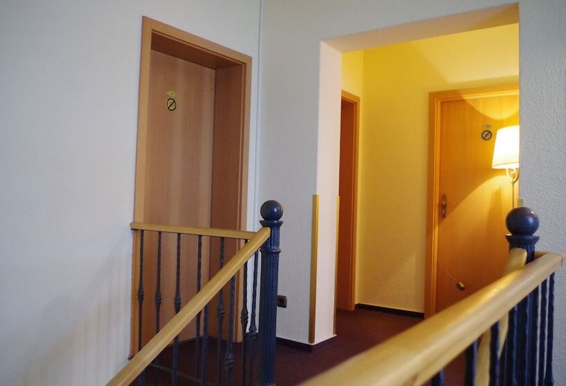 Отель Alttolkewitzer Hof