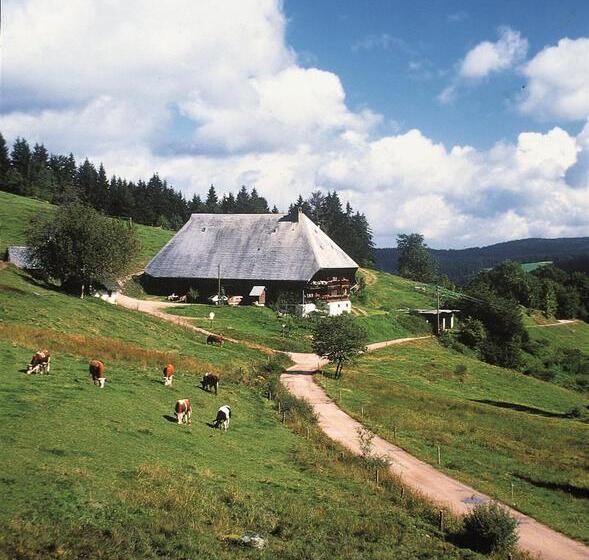 호텔 Best Western Plus Schwarzwald Residenz