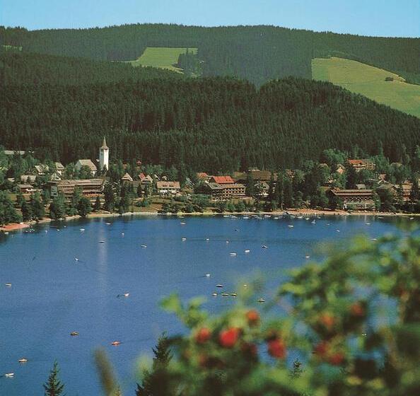 호텔 Best Western Plus Schwarzwald Residenz