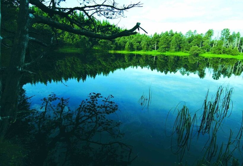 هتل Best Western Plus Schwarzwald Residenz