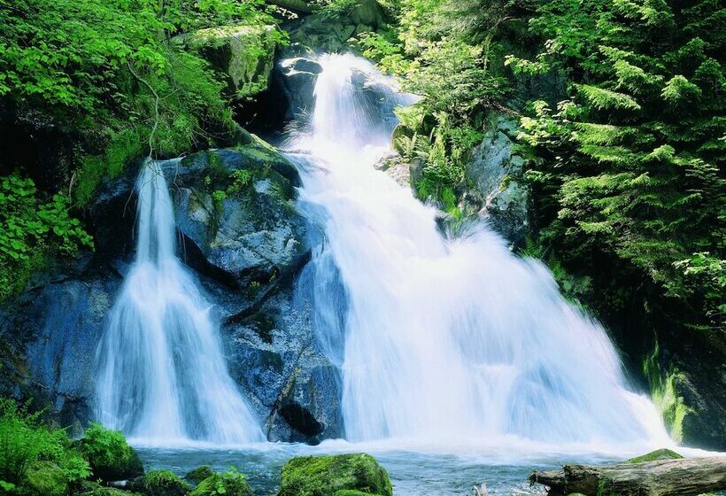 هتل Best Western Plus Schwarzwald Residenz