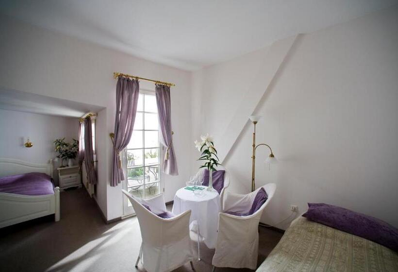 酒店 Goldener Hecht