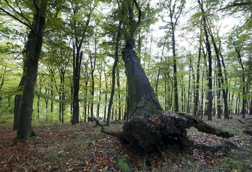 호텔 Goldflair Am Rathaus