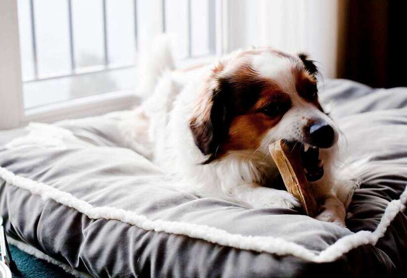 Relexa Hotel Stuttgarter Hof