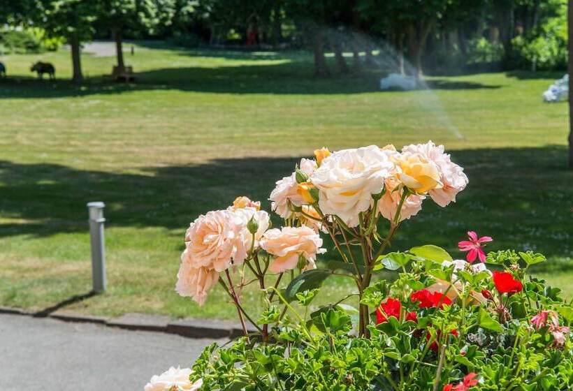 Seehotel Frankenhorst   Bw Signature Collection