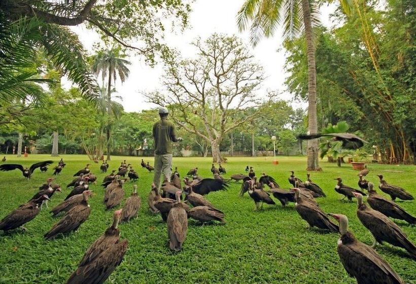 هتل Senegambia Beach