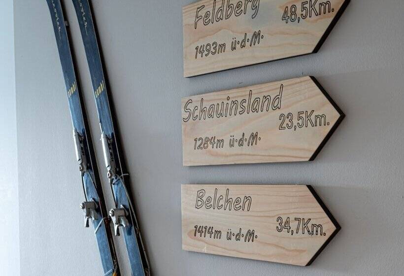 בית מלון כפרי Stadt Freiburg