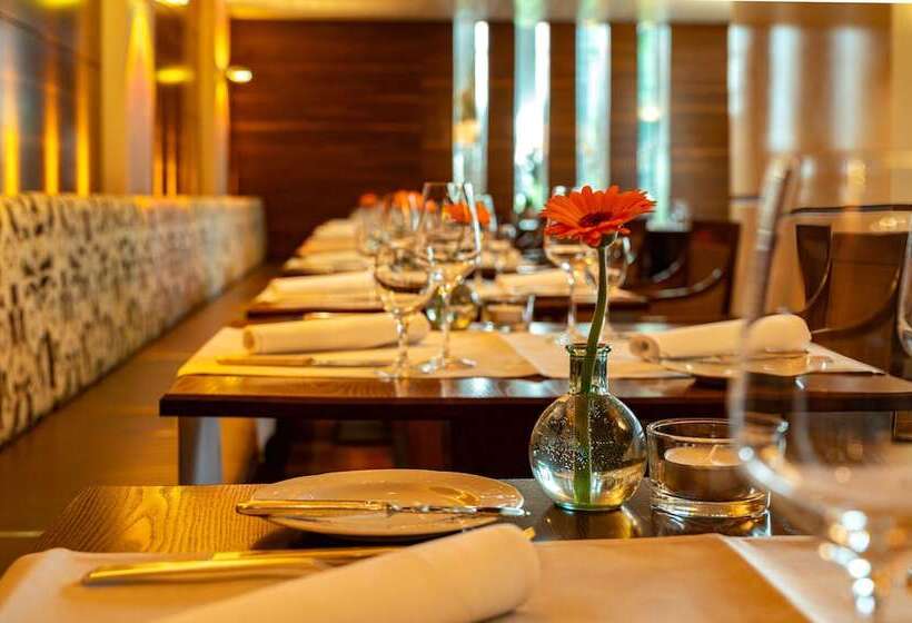 בית מלון כפרי Stadt Freiburg