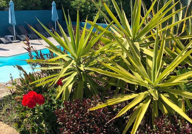 Отель U Ricordu & Spa