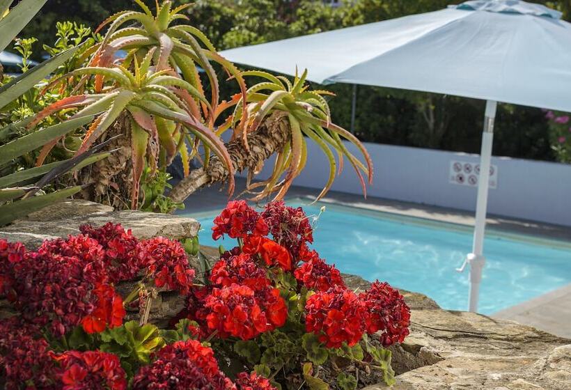 Отель U Ricordu & Spa