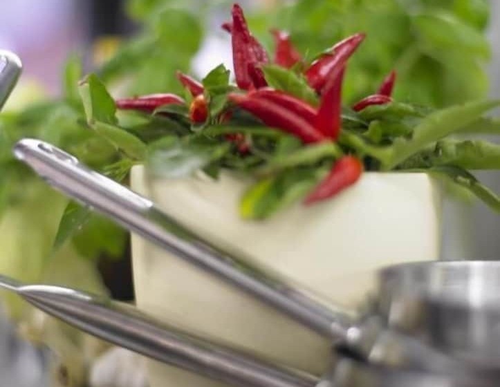 Adler Hotel & Restaurant Groß Gerau