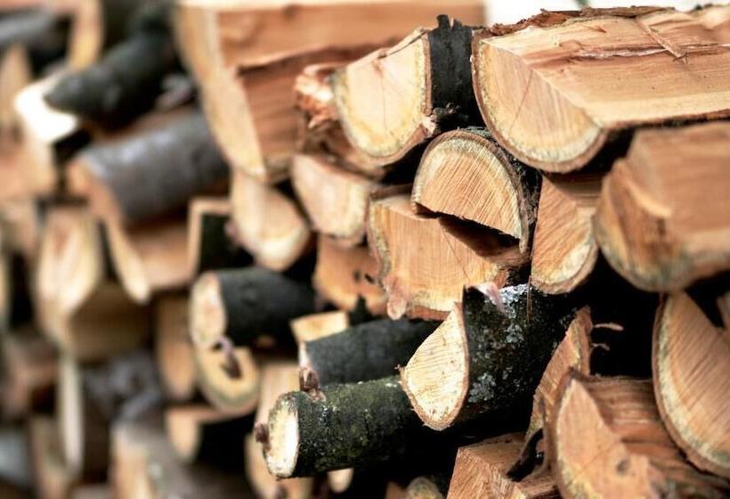 هتل Haus Kronenthal