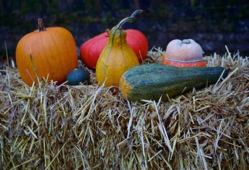 هتل Haus Kronenthal