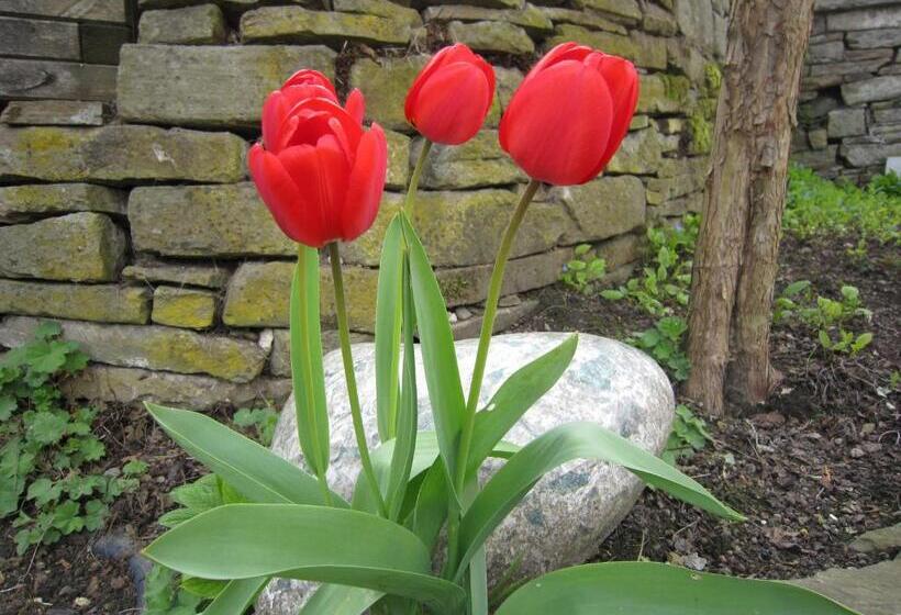 Отель Henriette Davidis