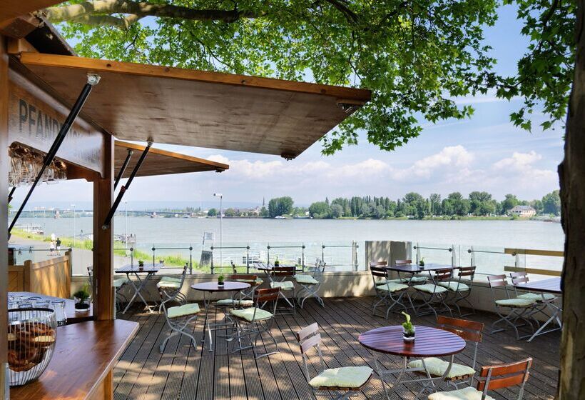 בית מלון כפרי Hyatt Regency Mainz