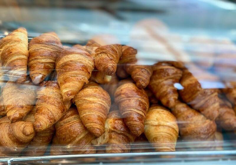 בית מלון כפרי Hyatt Regency Mainz