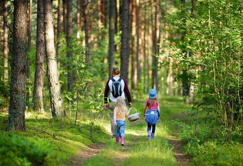 Korbstadthotel Krone