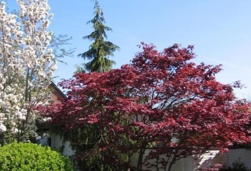 Отель Am Wasserturm