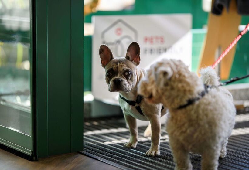 酒店 Ambiente Langenhagen Hannover By Tulip Inn