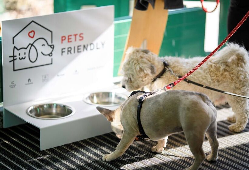 酒店 Ambiente Langenhagen Hannover By Tulip Inn