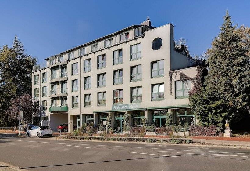 酒店 Ambiente Langenhagen Hannover By Tulip Inn