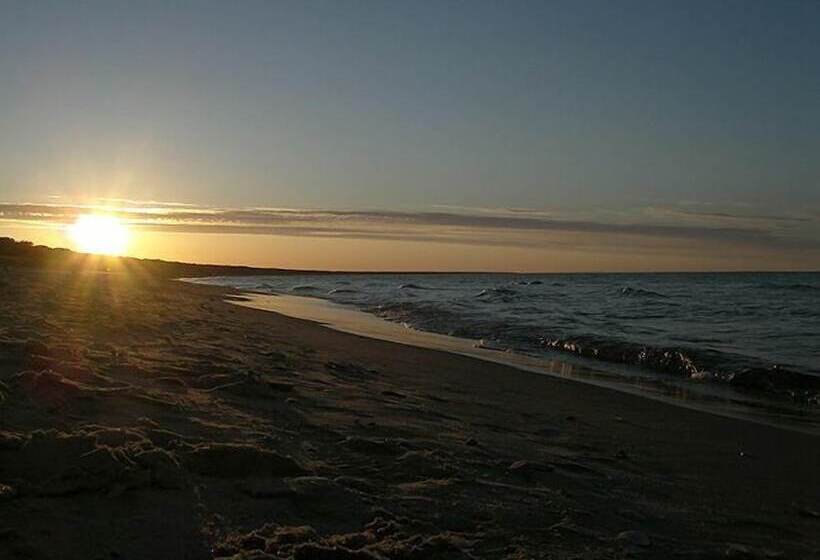 Отель Friedrich Franz Palais