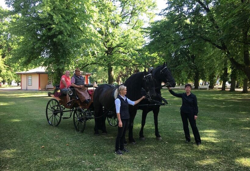 Отель Friedrich Franz Palais