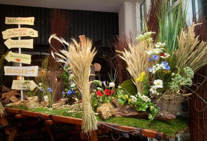 فندق Rheinterrasse Benrath