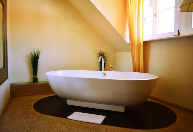 ホテル Schloss Reinach