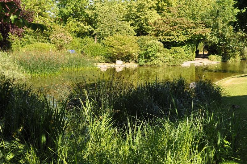 Parkhotel Frankfurt Airport