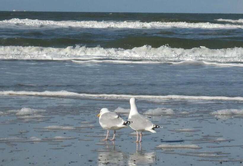 Ringhotel Residenz Wittmund