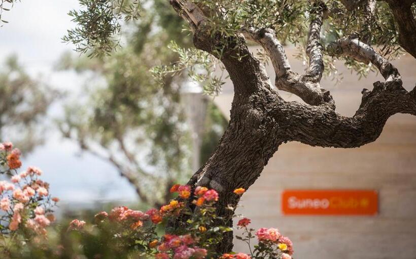 호텔 Althea Village   Family