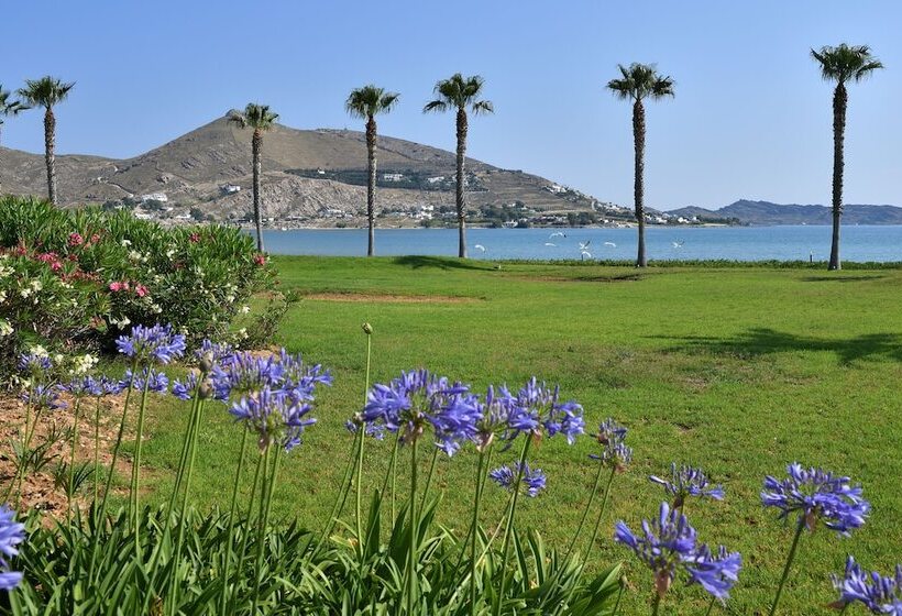 هتل Astir Of Paros