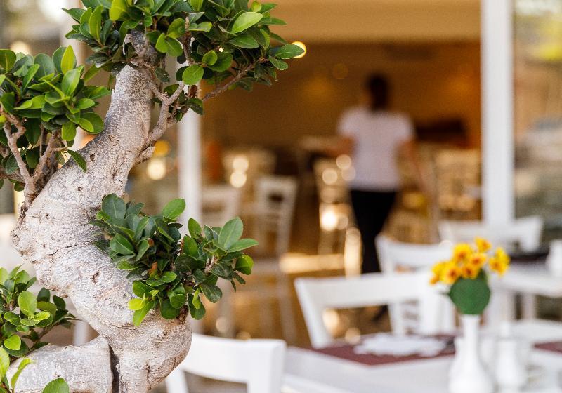 Best Western Plus Hotel Plaza