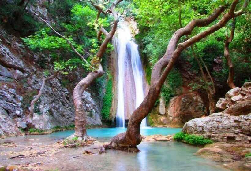 호텔 Europa Olympia