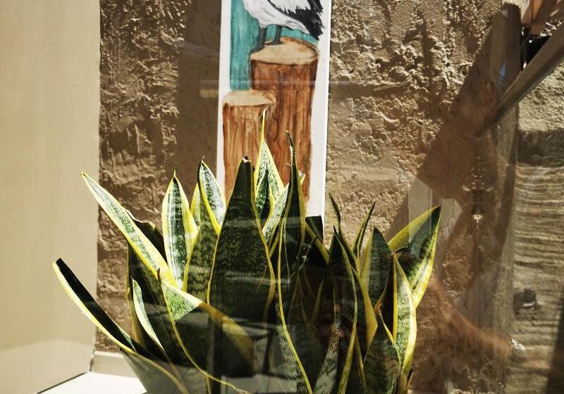 בית מלון כפרי Europa