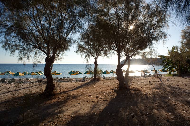 ホテル Irene Palace Beach Resort